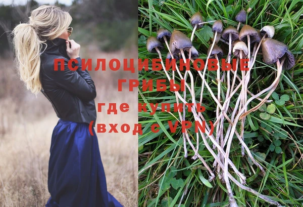 стафф Балахна
