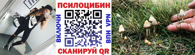 Галлюциногенные грибы MAGIC MUSHROOMS  MEGA ТОР  Семикаракорск 